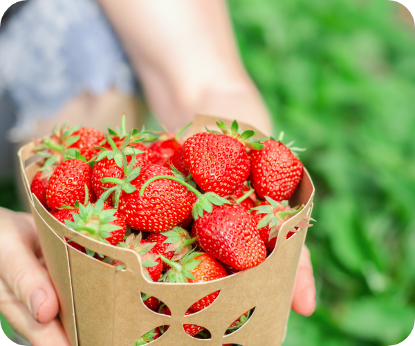 山積みのいちごの画像です